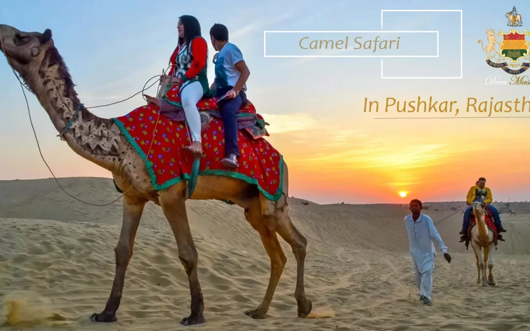 A Camel Safari – Discover The Desert